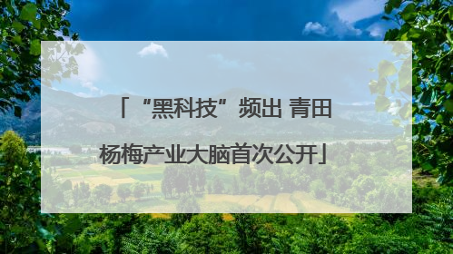 “黑科技”频出 青田杨梅产业大脑首次公开