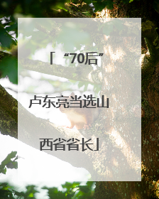 “70后”卢东亮当选山西省省长