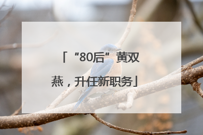 “80后”黄双燕，升任新职务