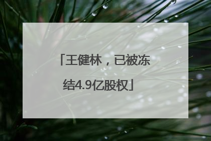 王健林，已被冻结4.9亿股权