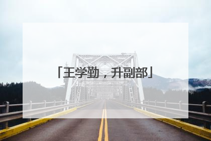 王学勤，升副部