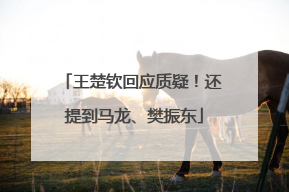 王楚钦回应质疑！还提到马龙、樊振东