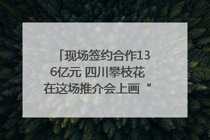 现场签约合作136亿元 四川攀枝花在这场推介会上画“图谱”列“清单”