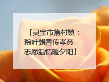 灵宝市焦村镇：粽叶飘香传孝意 志愿温情暖夕阳
