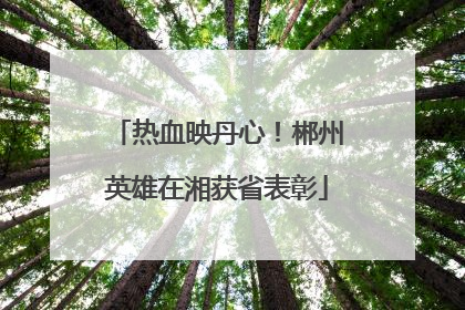 热血映丹心！郴州英雄在湘获省表彰