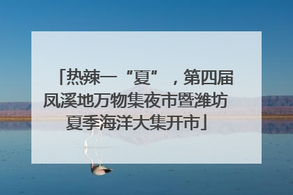 热辣一“夏”，第四届凤溪地万物集夜市暨潍坊夏季海洋大集开市