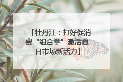 牡丹江：打好促消费“组合拳”激活夏日市场新活力