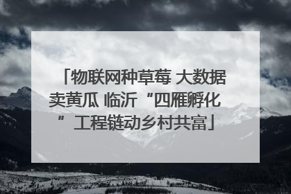 物联网种草莓 大数据卖黄瓜 临沂“四雁孵化”工程链动乡村共富