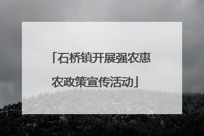 石桥镇开展强农惠农政策宣传活动