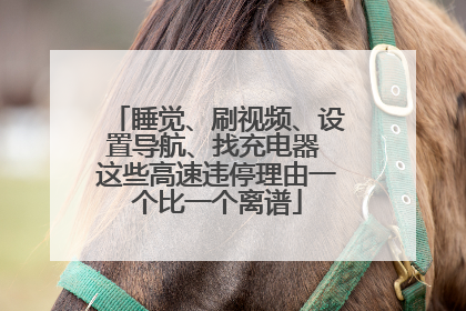 睡觉、刷视频、设置导航、找充电器 这些高速违停理由一个比一个离谱