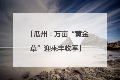 瓜州：万亩“黄金草”迎来丰收季