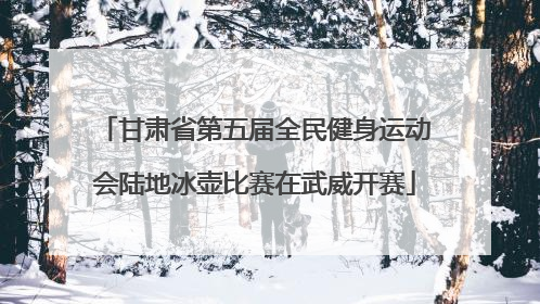甘肃省第五届全民健身运动会陆地冰壶比赛在武威开赛