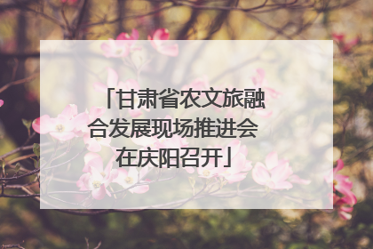 甘肃省农文旅融合发展现场推进会在庆阳召开
