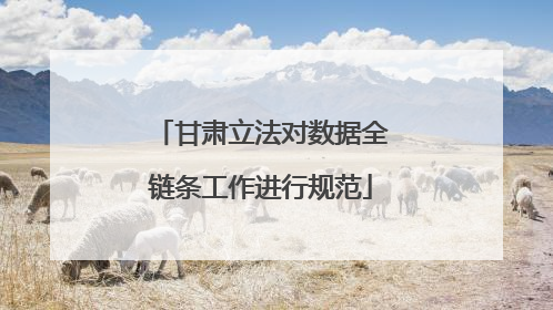 甘肃立法对数据全链条工作进行规范