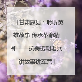 甘肃康县：聆听英雄故事 传承革命精神——抗美援朝老兵讲故事进军营