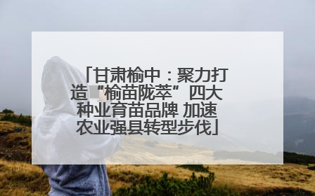 甘肃榆中：聚力打造“榆苗陇萃”四大种业育苗品牌 加速农业强县转型步伐