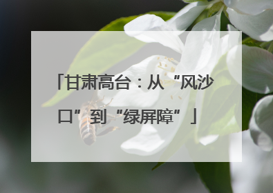 甘肃高台：从“风沙口”到“绿屏障”
