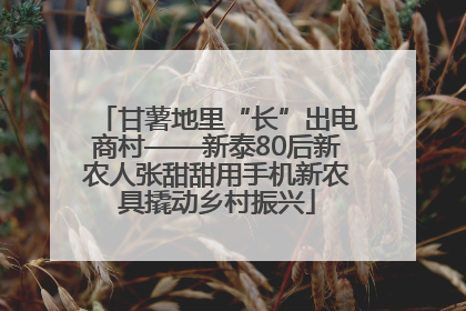 甘薯地里“长”出电商村——新泰80后新农人张甜甜用手机新农具撬动乡村振兴