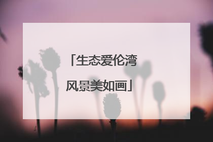 生态爱伦湾 风景美如画