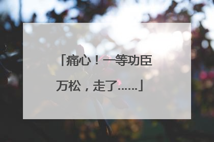 痛心！一等功臣万松，走了……