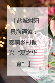 盐城射阳县海通镇：奏响乡村振兴“夏之华章”