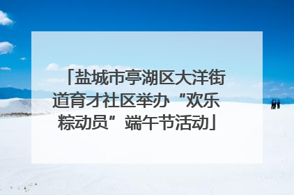 盐城市亭湖区大洋街道育才社区举办“欢乐粽动员”端午节活动