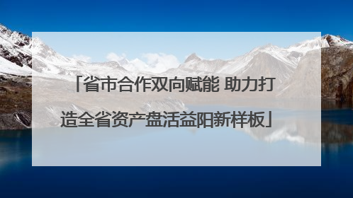省市合作双向赋能 助力打造全省资产盘活益阳新样板