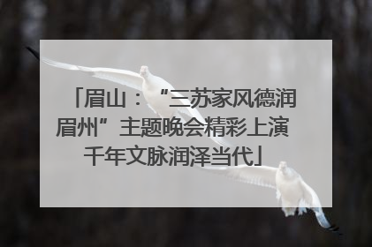 眉山：“三苏家风德润眉州”主题晚会精彩上演千年文脉润泽当代