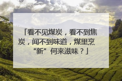 看不见煤炭，看不到焦炭，闻不到味道，煤里烹“新”何来滋味？