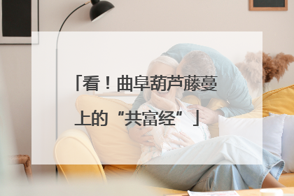 看！曲阜葫芦藤蔓上的“共富经”