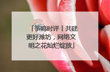 筝鸣时评丨共建更好潍坊，网络文明之花灿烂绽放