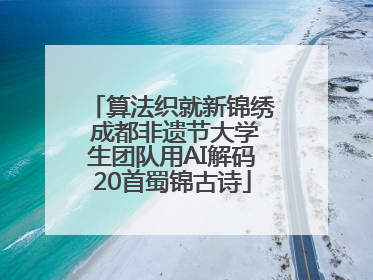 算法织就新锦绣 成都非遗节大学生团队用AI解码20首蜀锦古诗