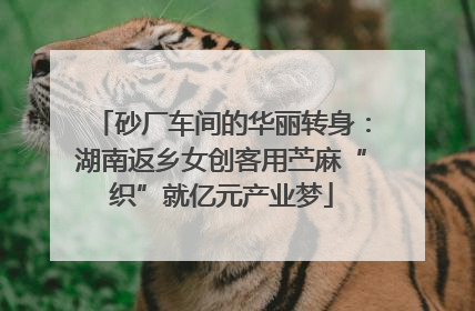 砂厂车间的华丽转身：湖南返乡女创客用苎麻“织”就亿元产业梦