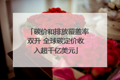 碳价和排放覆盖率双升 全球碳定价收入超千亿美元