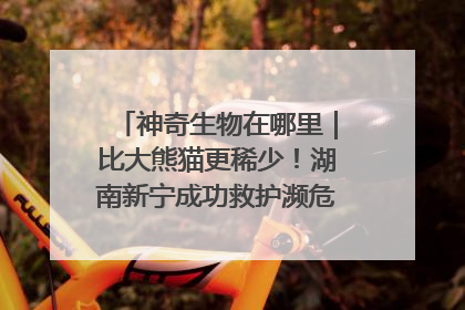 神奇生物在哪里｜比大熊猫更稀少！湖南新宁成功救护濒危鸟类海南鳽