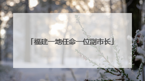 福建一地任命一位副市长
