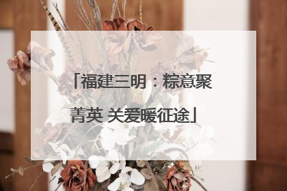 福建三明：粽意聚菁英 关爱暖征途
