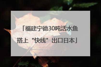 福建宁德30吨活水鱼搭上“快线”出口日本