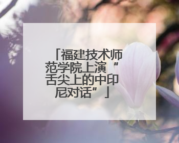 福建技术师范学院上演“舌尖上的中印尼对话”