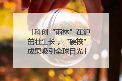 科创“雨林”在沪茁壮生长，“硬核”成果吸引全球目光