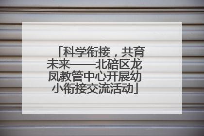 科学衔接，共育未来——北碚区龙凤教管中心开展幼小衔接交流活动