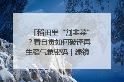 稻田里“割韭菜”？看自贡如何破译再生稻气象密码｜绿镜头·发现中国