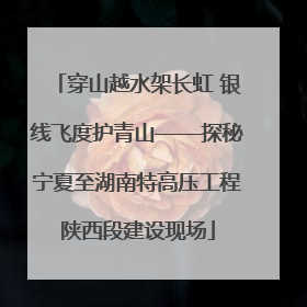 穿山越水架长虹 银线飞度护青山——探秘宁夏至湖南特高压工程陕西段建设现场