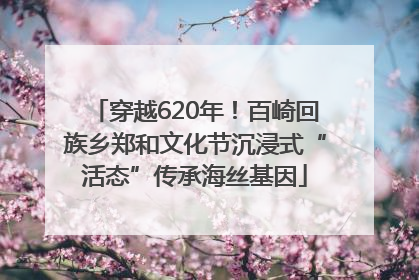 穿越620年！百崎回族乡郑和文化节沉浸式“活态”传承海丝基因