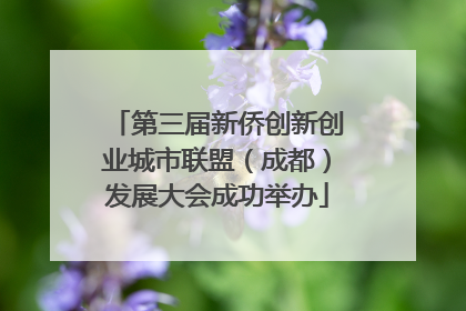 第三届新侨创新创业城市联盟（成都）发展大会成功举办