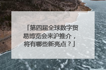 第四届全球数字贸易博览会来沪推介，将有哪些新亮点？