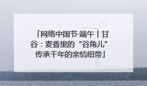 网络中国节·端午丨甘谷：麦香里的“谷角儿” 传承千年的亲情纽带
