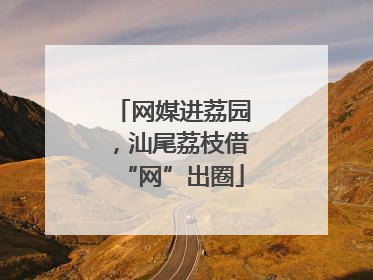 网媒进荔园，汕尾荔枝借“网”出圈