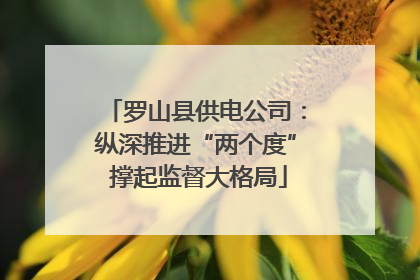 罗山县供电公司：纵深推进“两个度” 撑起监督大格局