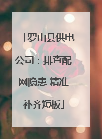 罗山县供电公司：排查配网隐患 精准补齐短板